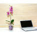 Горшок для цветов пластиковый с поддоном Для Орхидей 1,2л (прозр)-1 с под м1603Ж             