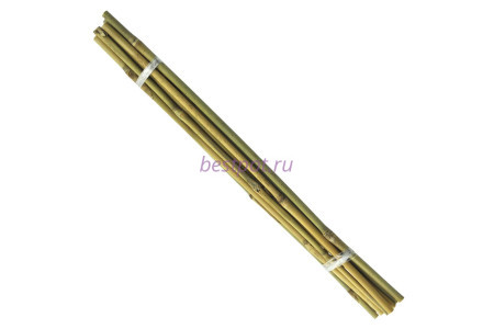опора-бамбук 45см ()